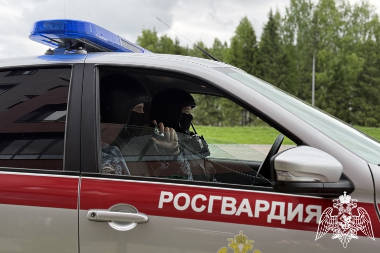 Сотрудники вневедомственной охраны Росгвардии задержали нарушителей общественного порядка в Сыктывкаре и Воркуте