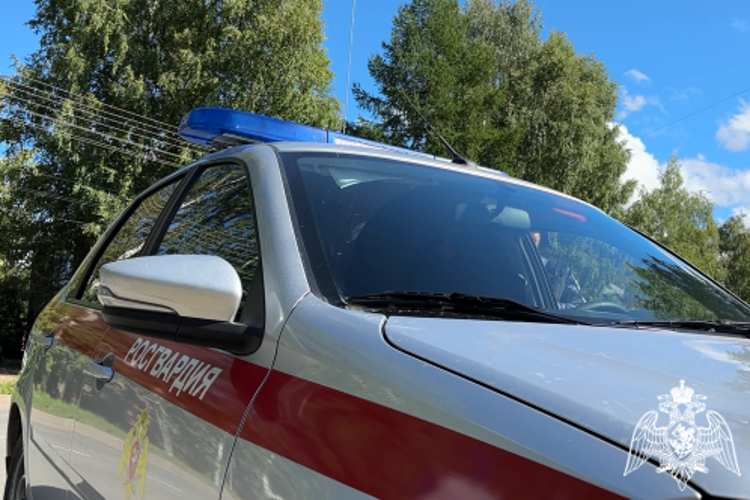 В Коми росгвардейцы задержали двух любителей бесплатного шопинга