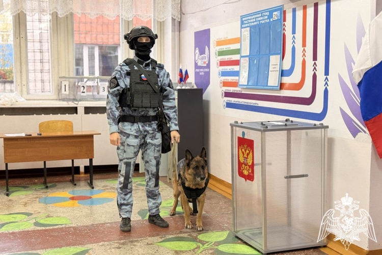 Росгвардия Коми совместно с полицией обеспечила безопасность проведения выборов