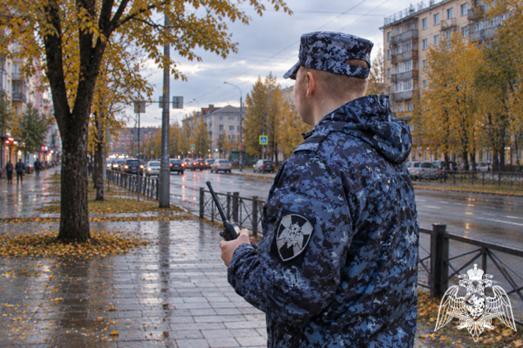 В Сыктывкаре росгвардейцы задержали мужчину, находившегося в розыске